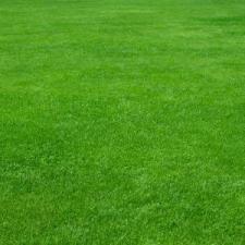 Lawn Fertilization Services Improve Your Grovetown Business thumbnail